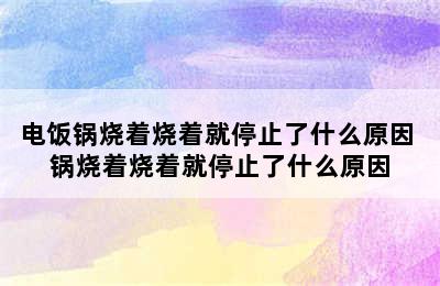 电饭锅烧着烧着就停止了什么原因 锅烧着烧着就停止了什么原因